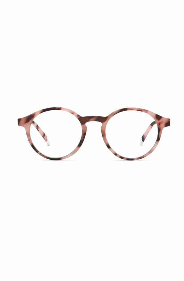 Barner Neutral Glasses | Glasses